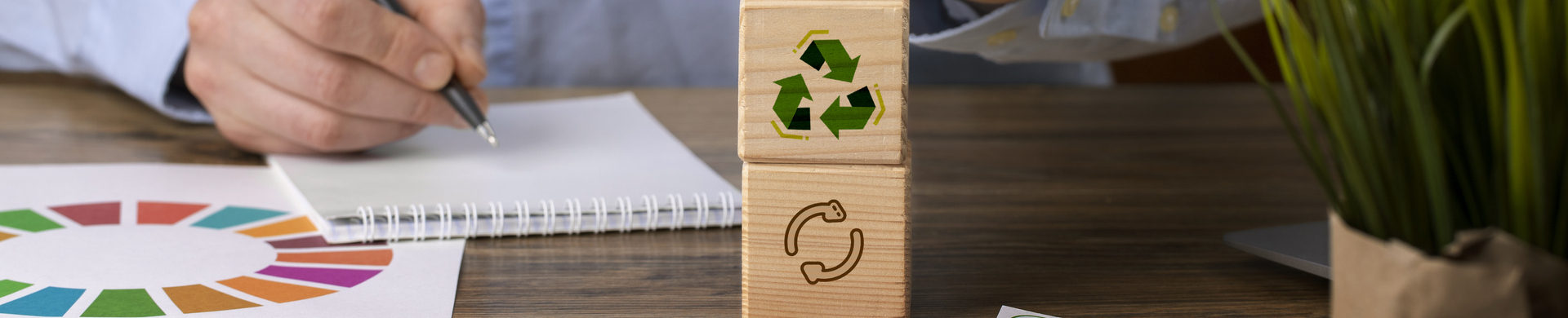 O que é Gestão Ambiental e como a São Raphael atua para isso?