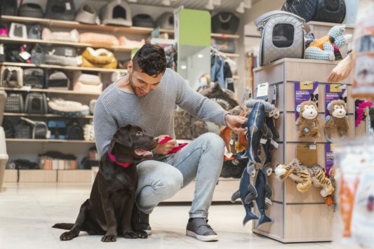 Descubra quais produtos para petshop que não podem faltar na sua loja